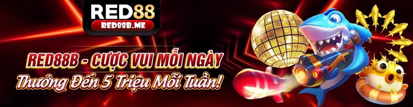 Giao diện ứng dụng 88nn99 nhà cái trên điện thoại di động